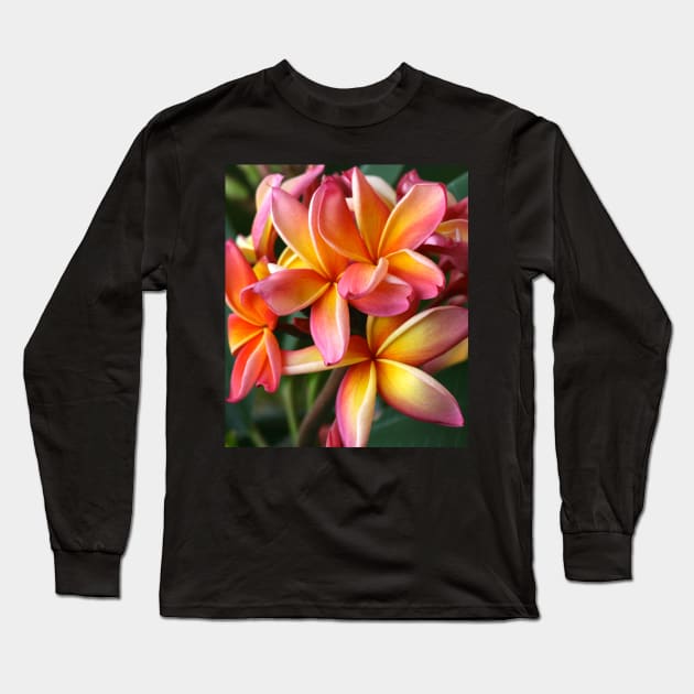 plumeria-flowers-frangipani-floral-blossom-petal-bloom-shirtyshirto-29 Long Sleeve T-Shirt by Shirty.Shirto